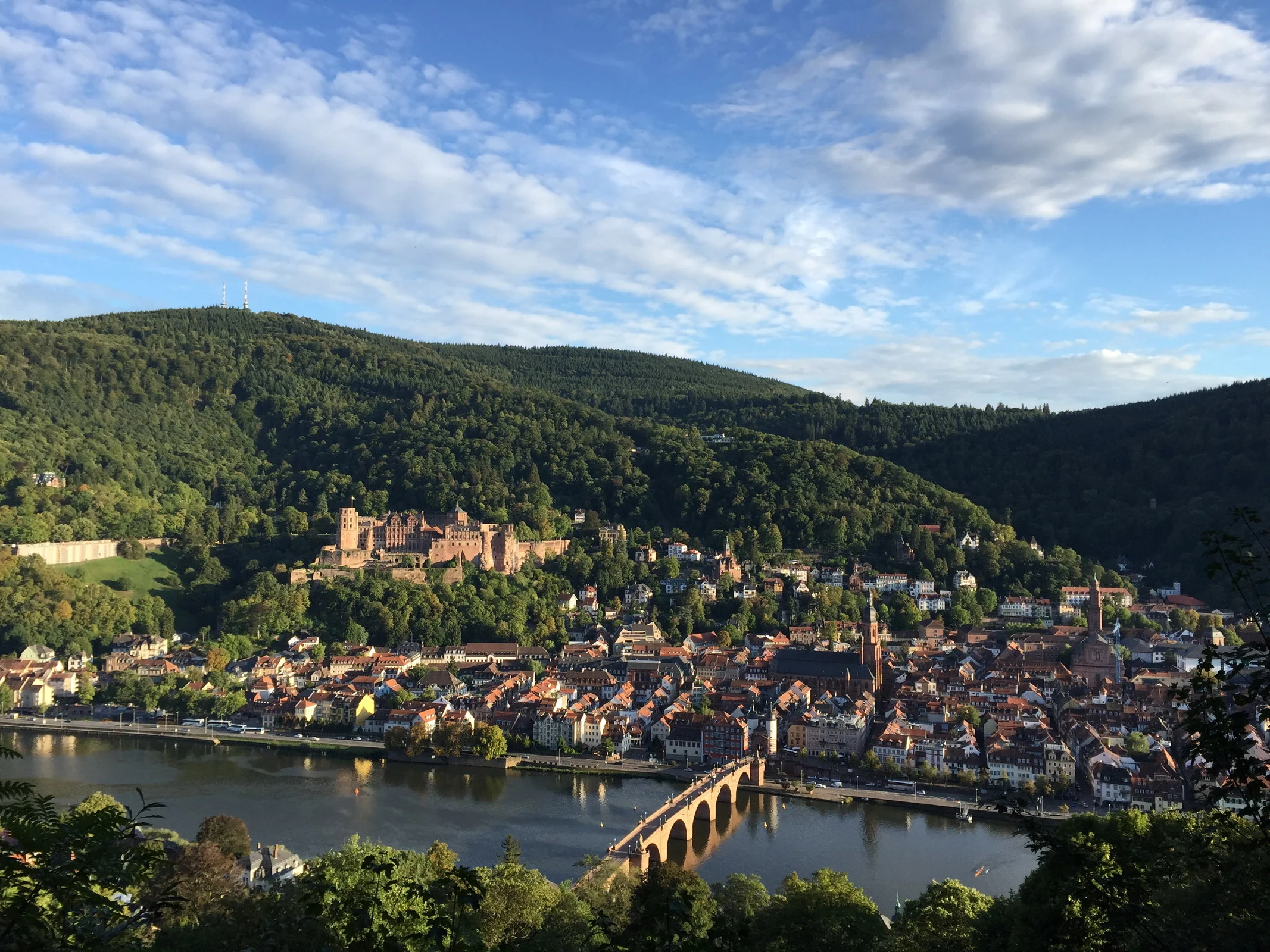 Heidelberger Altstadt mit Alter Brücke und Schloss über dem Neckar