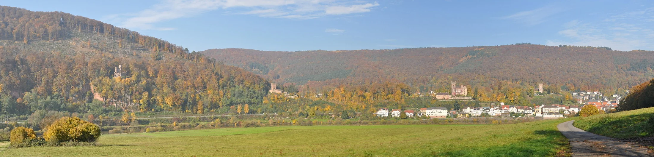 Panorama von Neckarsteinach mit Schwalbennest, Hinterburg, Mittelburg und Vorderburg